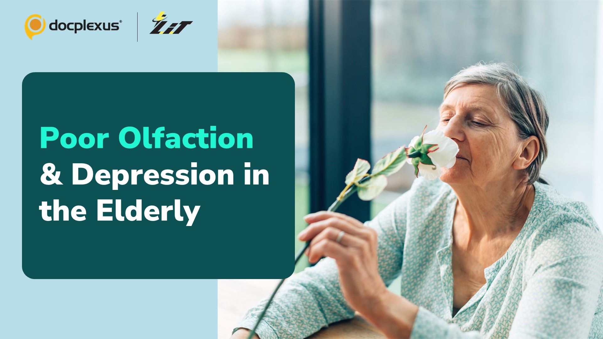 Is Olfactory Dysfunction in the Elderly an Early Sign of Depression?