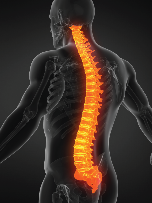 Identifying Red Flags and Referral Indicators for Spinal Conditions