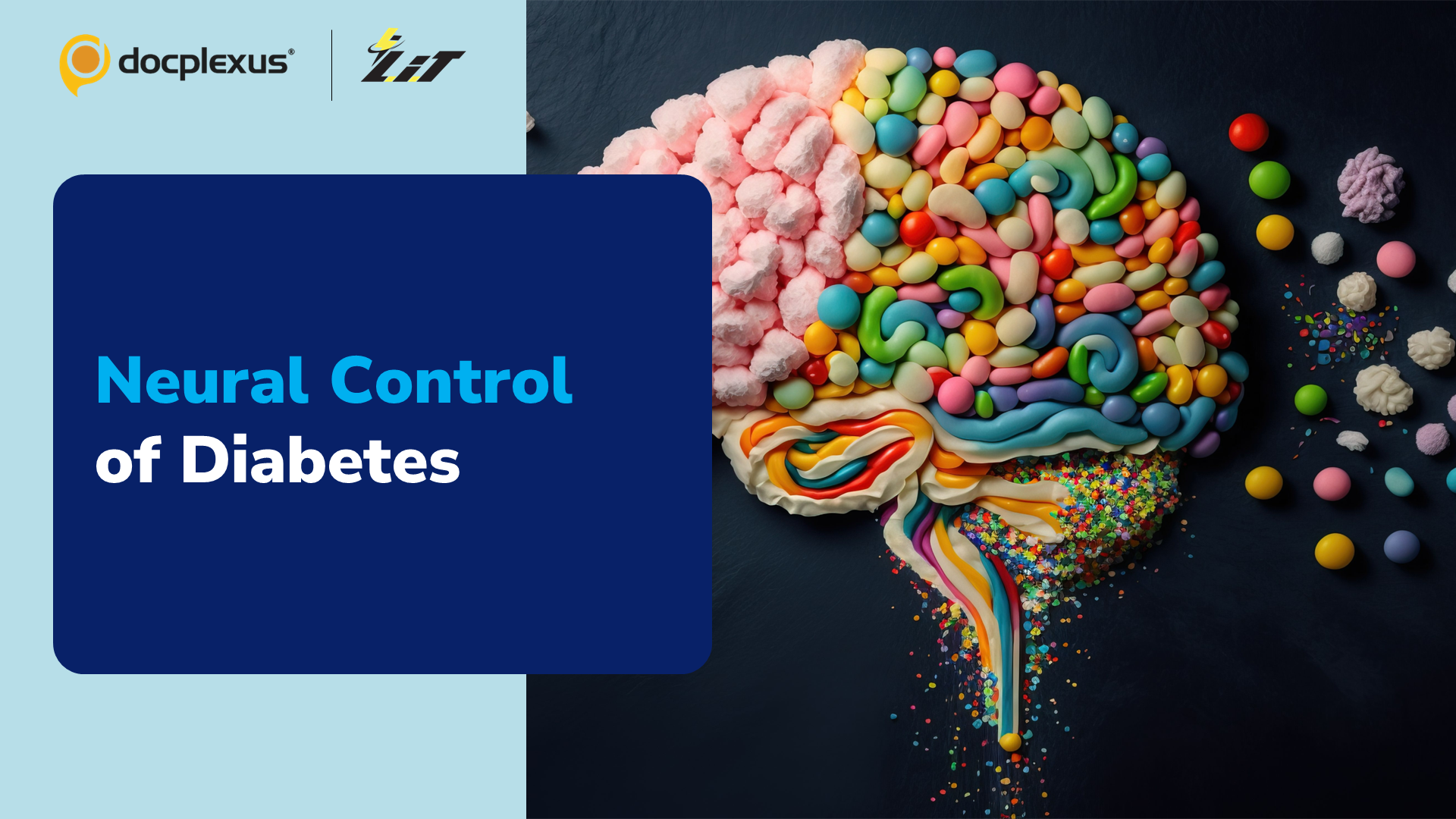 Identifying Key Neural Circuits in Diabetes
