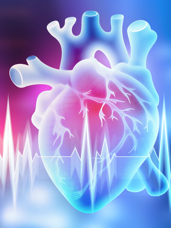 Non-communicable Diseases — Overview & Implications for Control