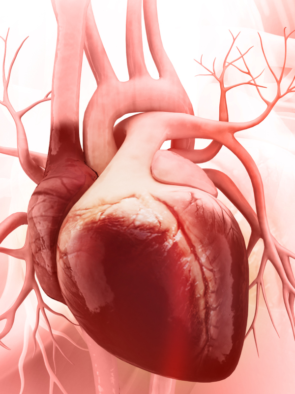 Transition to Adult Care for Pediatric Patients with Congenital Heart Disease