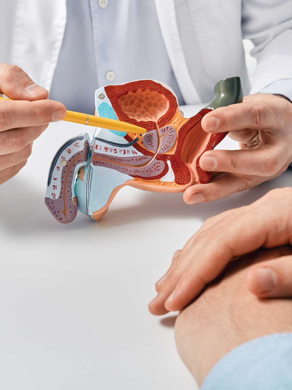 Fueling Fertility: The Role of Nutrition in Male Reproductive Wellness