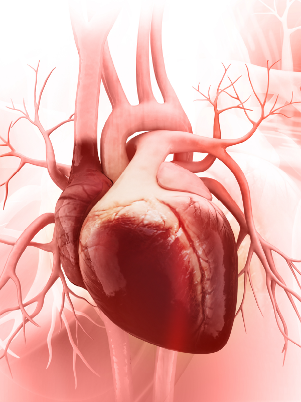 Cardiac Myosin Inhibitors in HCM | Cholesterol-years & ASCVD
