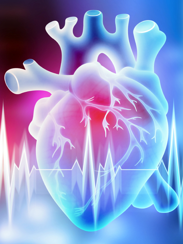 Non-communicable Diseases – Overview & Implications for Control