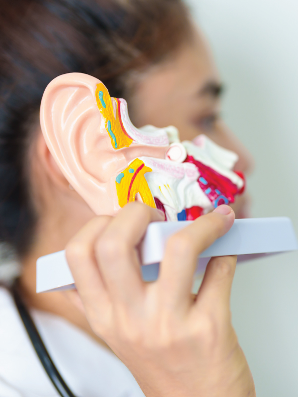 The Enigma of Meniere's Disease: Is Less Better?