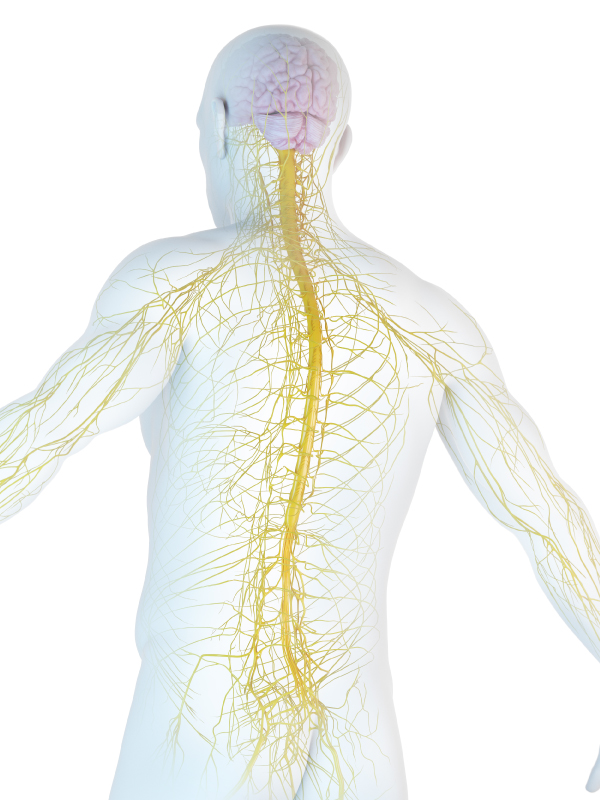 Nerve Entrapment Syndromes