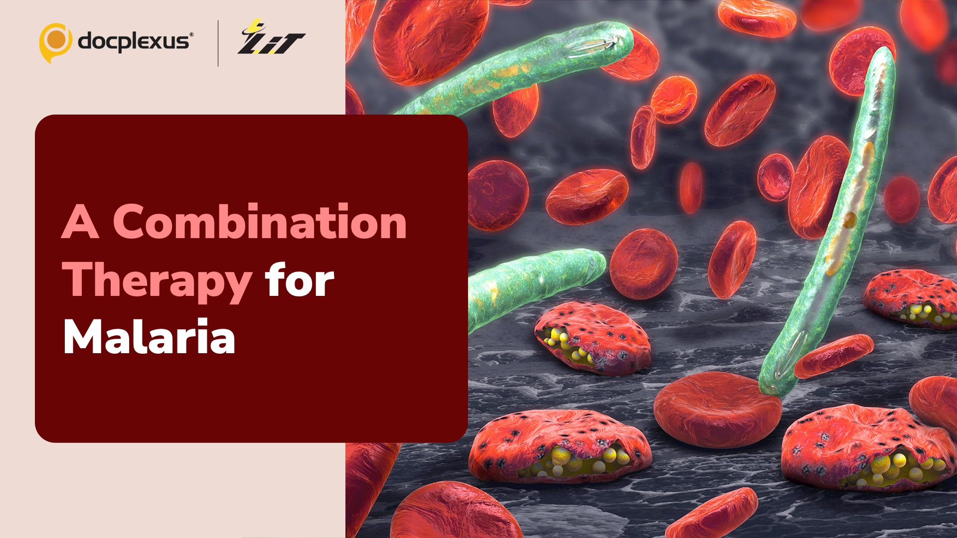 Can a Vaccine-drug Combination Provide Additional Protection Against Malaria?