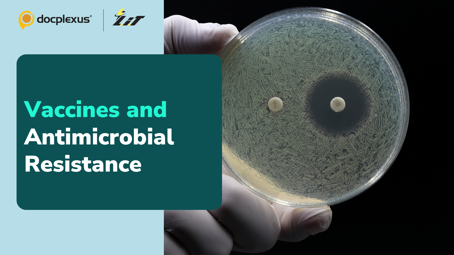 The Impact of Vaccines on Antimicrobial Resistance