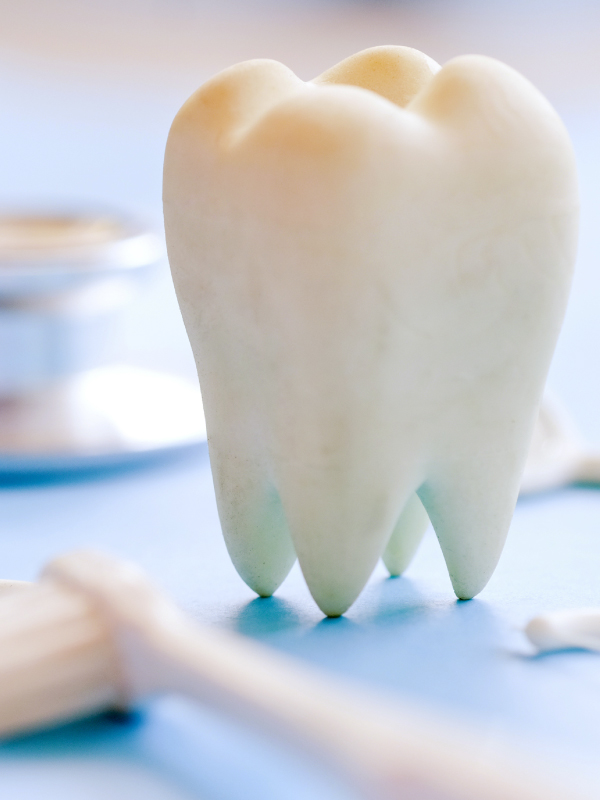 Dental Public Health Opportunities