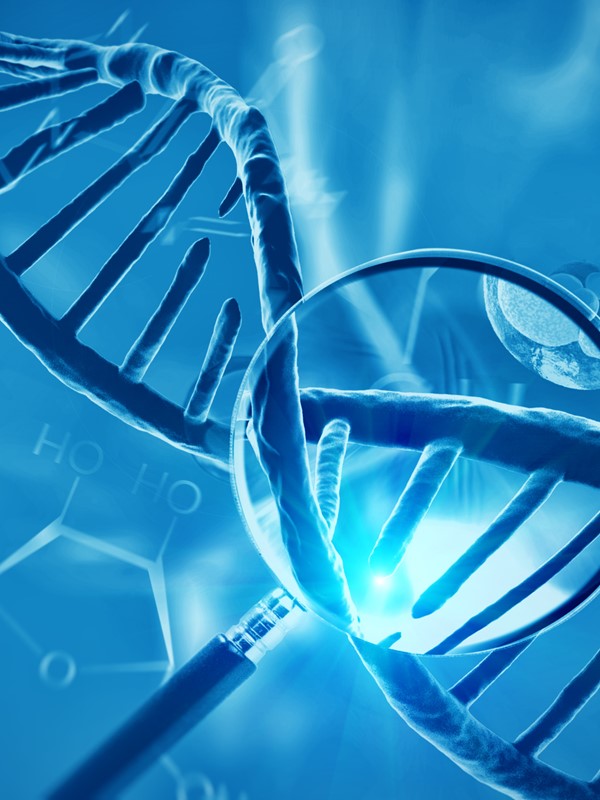 Cutting-edge Healthcare: Expert Insights on Genetic Counselling