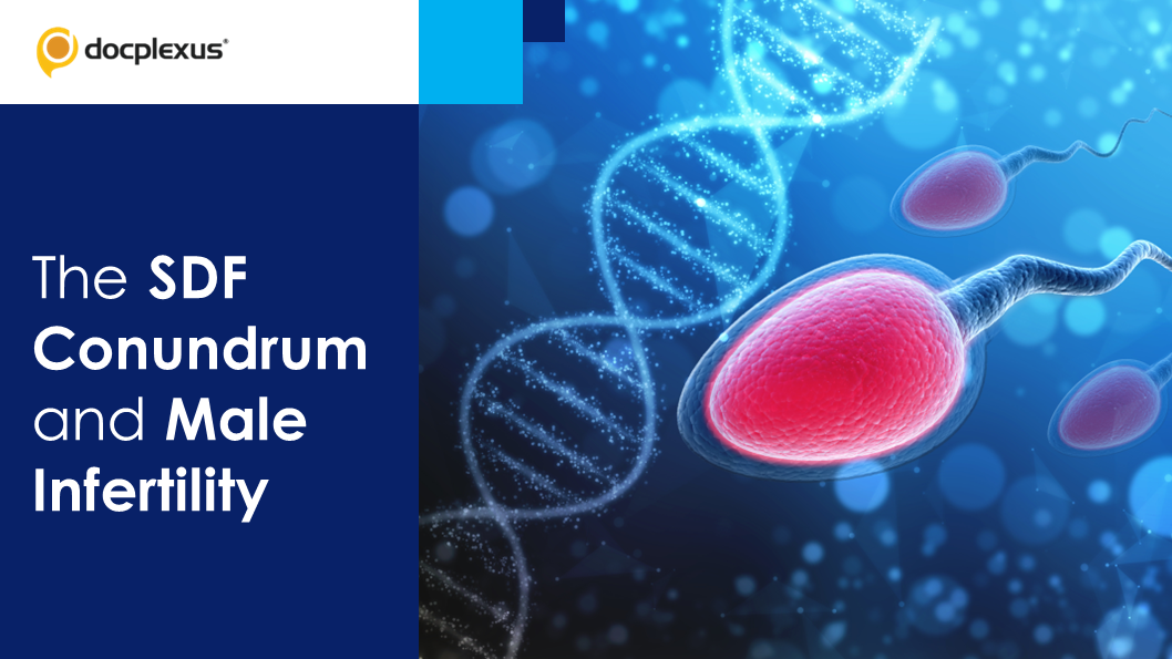 Sperm DNA Fragmentation in Male Infertility: Exploring the Connection