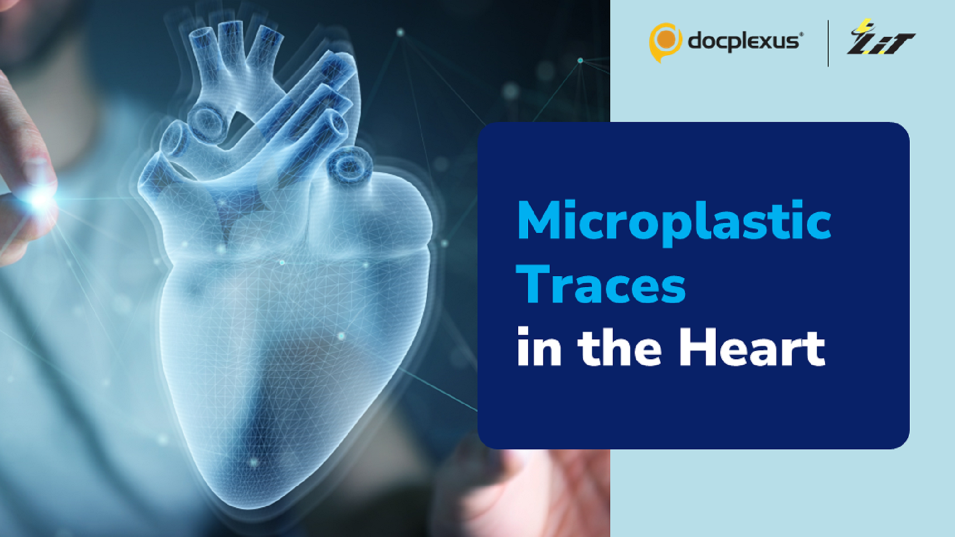 Microplastics in the Heart – A New Cardiovascular Concern?