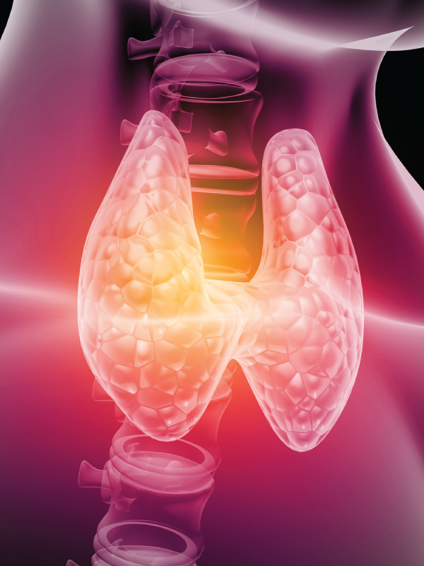 Thyroid Function Test Interpretation in Pregnancy