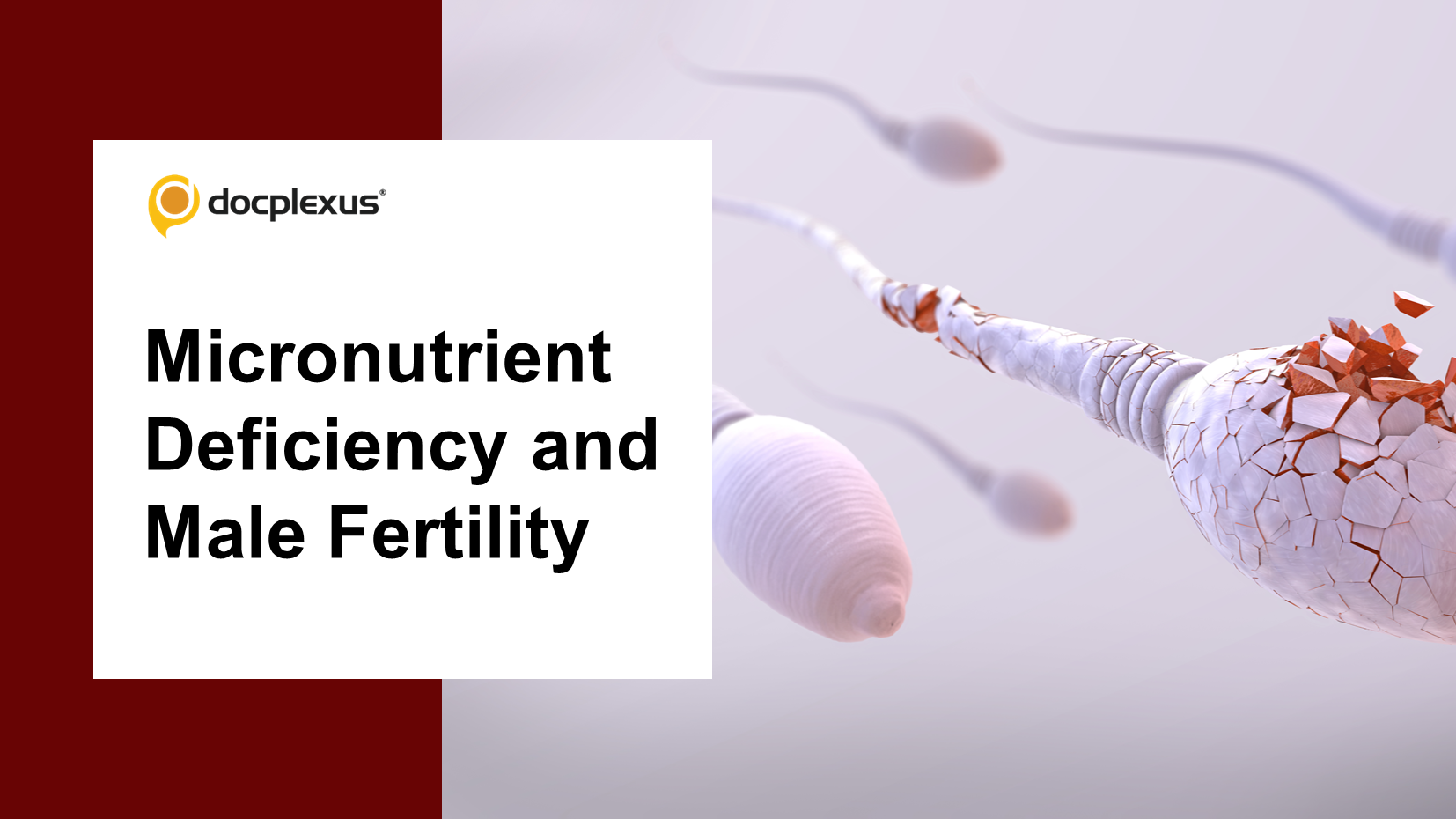 Fertility at Risk: How Micronutrient Deficiencies Impact Men