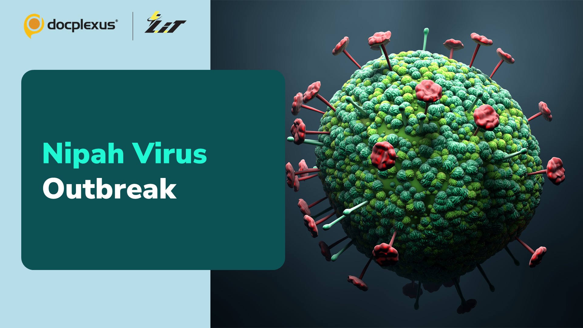 Nipah Virus Outbreak in Kerala, India