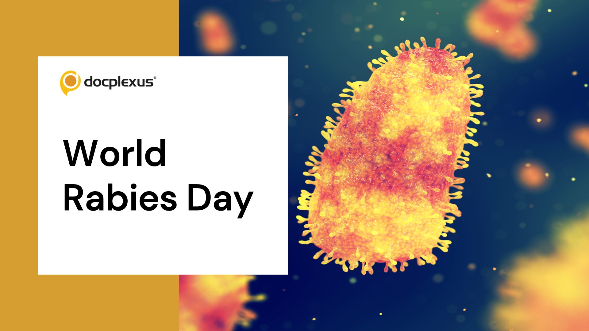 Frequently Asked Questions About the Management of Rabies