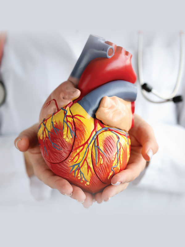 Revolutionizing Cardiovascular Health: Innovations and Insights