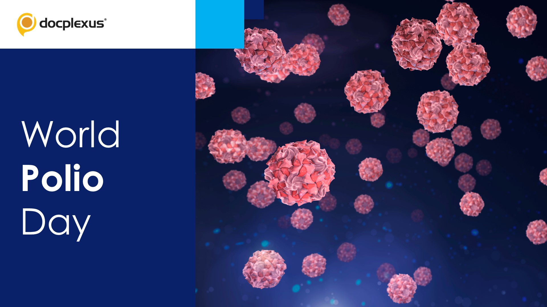 Busting Myths About Polio and Polio Vaccine