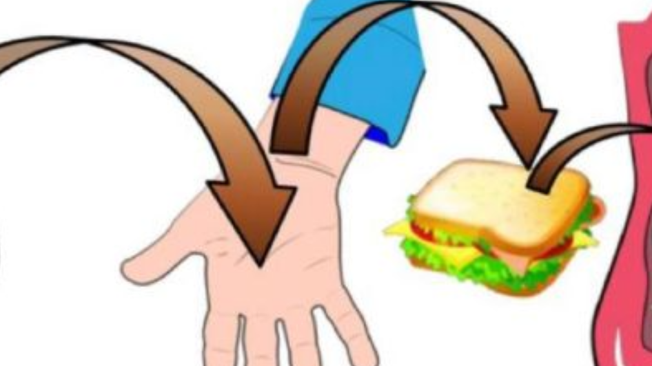 Pathogen Sources: Fecal-oral Route