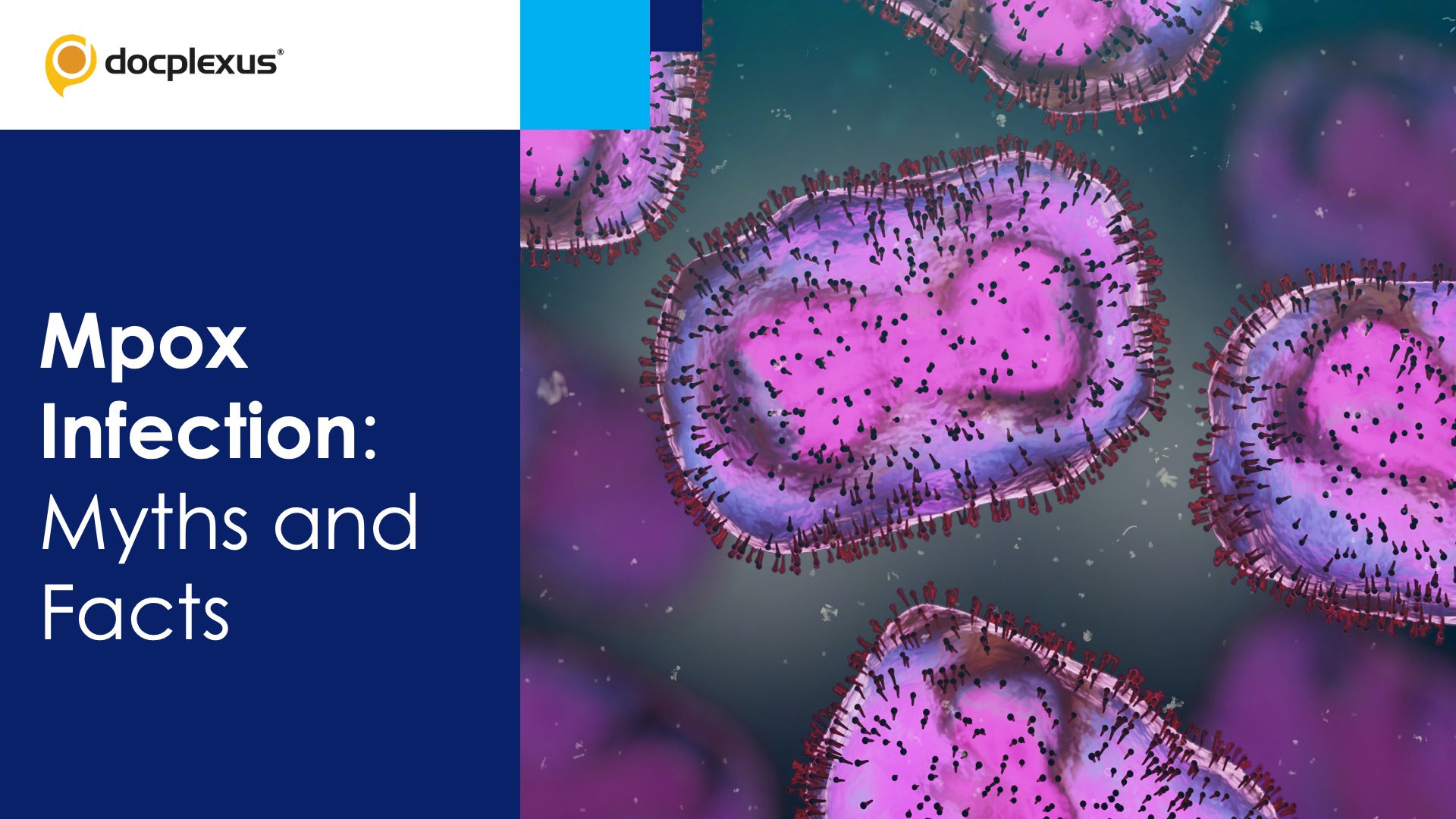 Mpox Infection: Myths and Facts