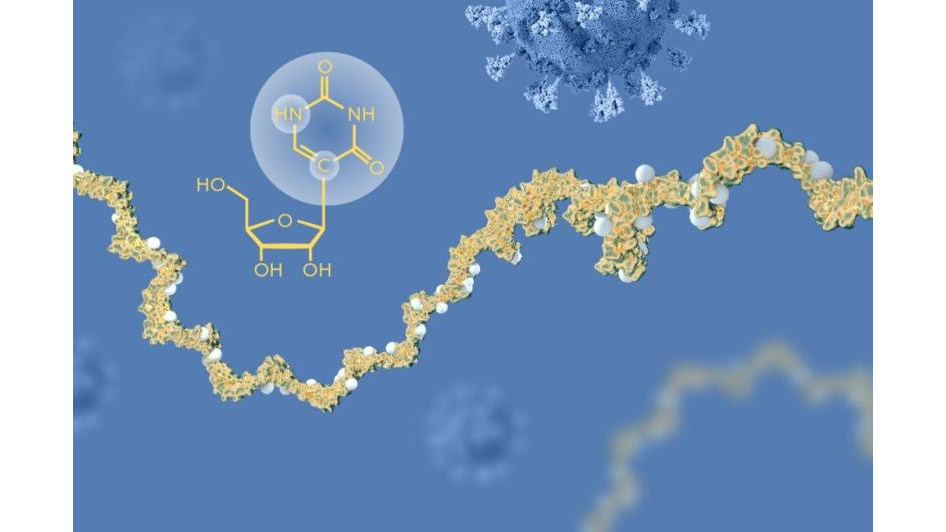 The Nobel Prize in Physiology or Medicine 2023