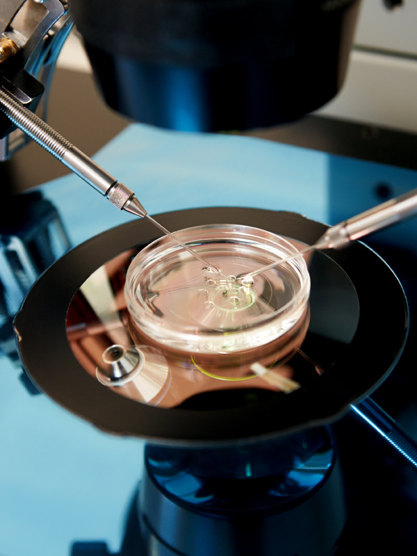 The Future of Assisted Reproduction