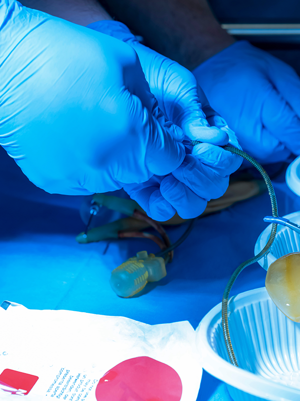 Penile Implantation