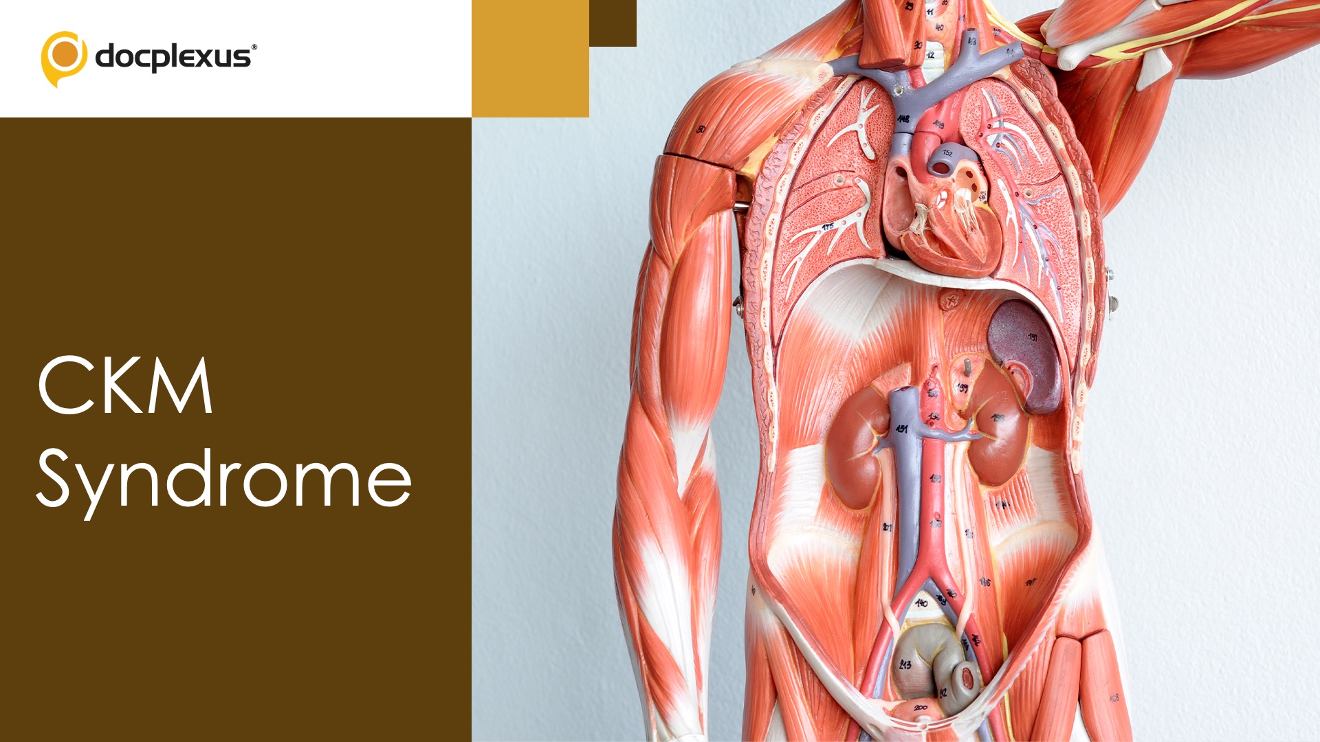 Cardiovascular-kidney-metabolic Syndrome: AHA Guidelines (2023)