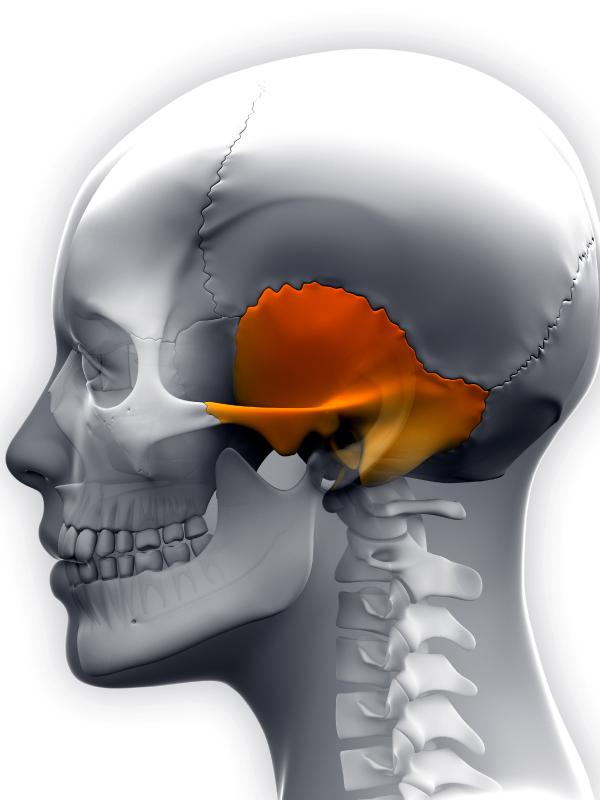 Adenocarcinoma of Lacrimal Sac | Temporal Bone Resection