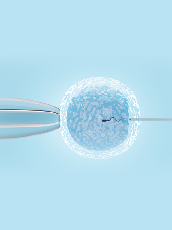 What Should Every Doctor Know About IVF?