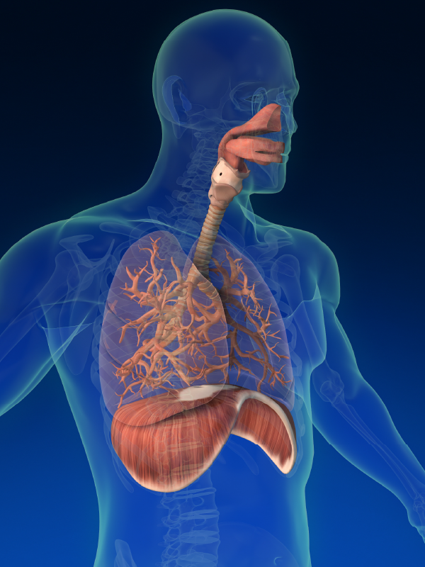 Balloon Bronchoplasty in Airway Stenosis