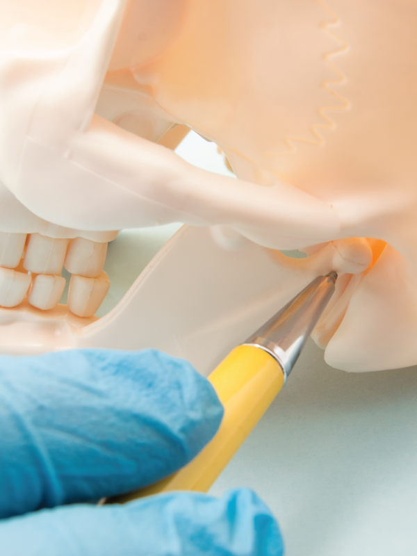 TMJ Disorders: A New Perspective