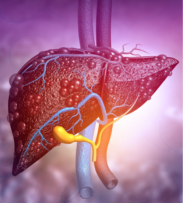 Preventive Care for Liver-related Ailments