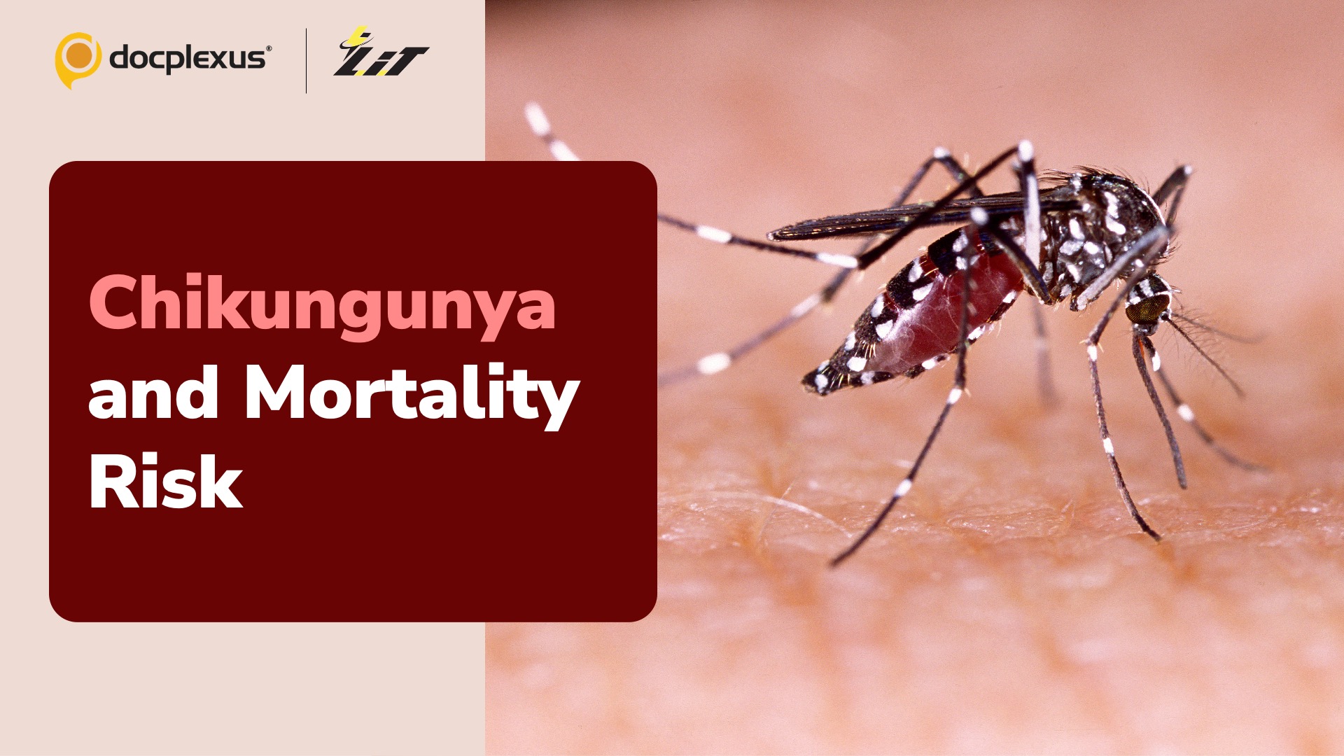 Chikungunya and Increased Mortality Risk
