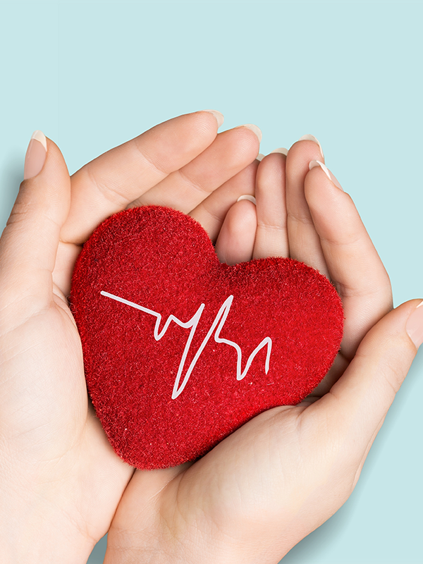 Insights into Hydralazine: Transforming Cardiovascular Therapeutics
