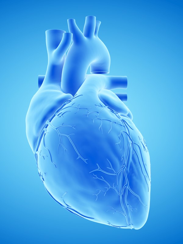 Surgical Management of Complex Congenital Cardiac Anomalies