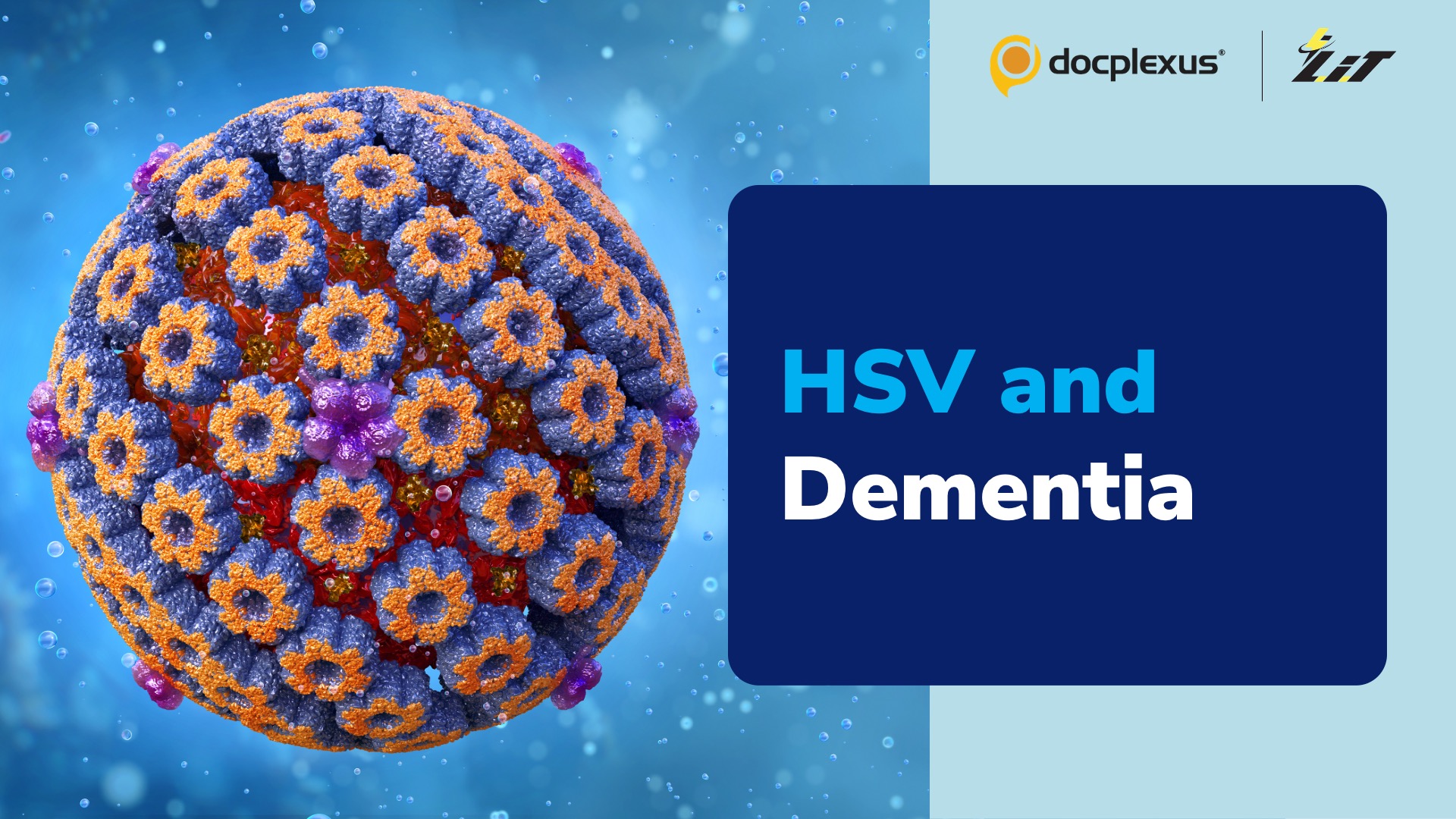 Herpes Simplex Virus Infection Doubles Dementia Risk