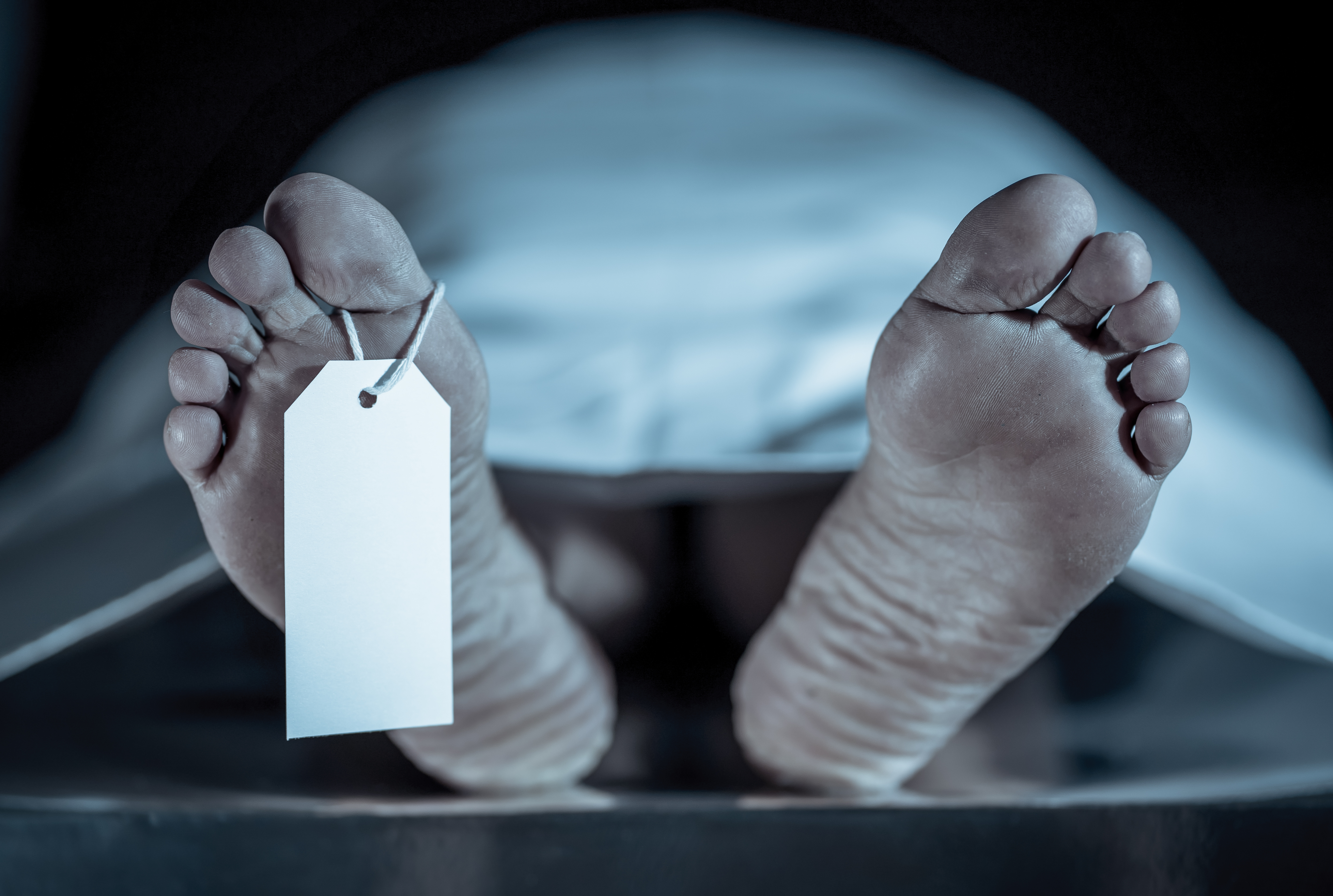 The Lazarus Phenomenon: When the Dead Return to Life