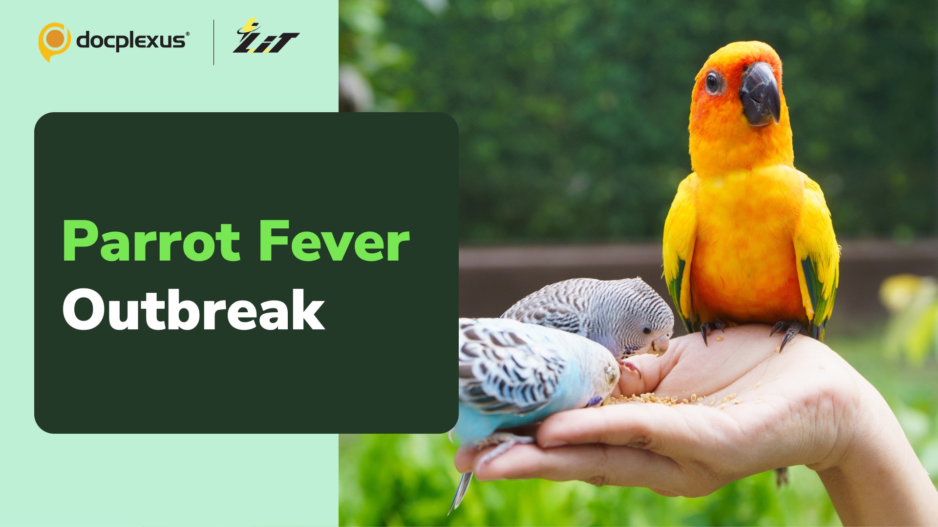 Fatal Parrot Fever Outbreak Reported in Europe