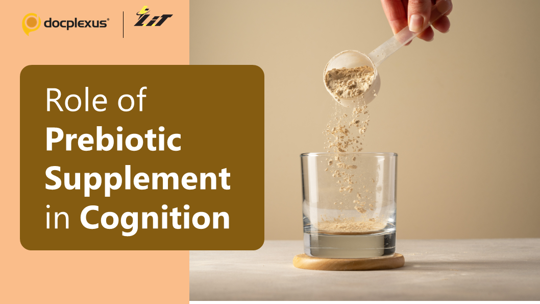 Can Prebiotic Supplementation Improve Cognition in the Aging Population?