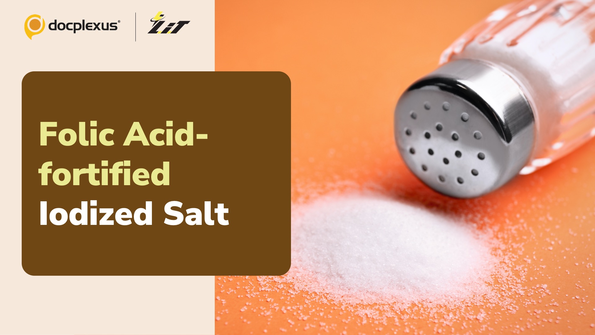 Folic Acid-fortified Iodized Salt for Increasing Serum Folate Levels