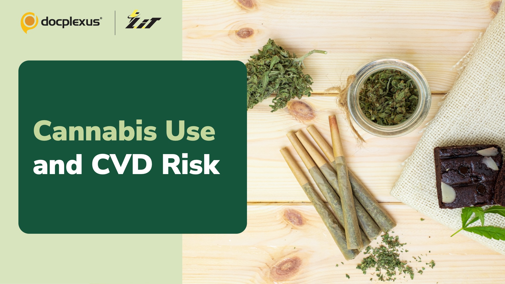 Can Cannabis Use Increase the Risk of CVD?