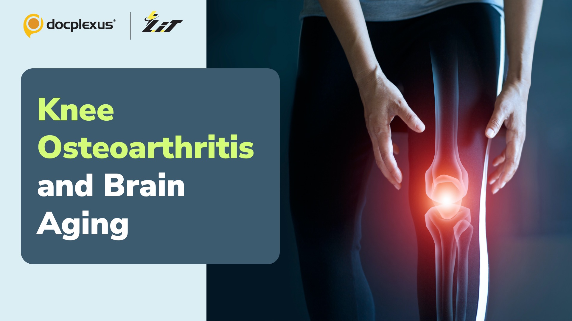 Can Knee Osteoarthritis Lead to Accelerated Brain Aging?