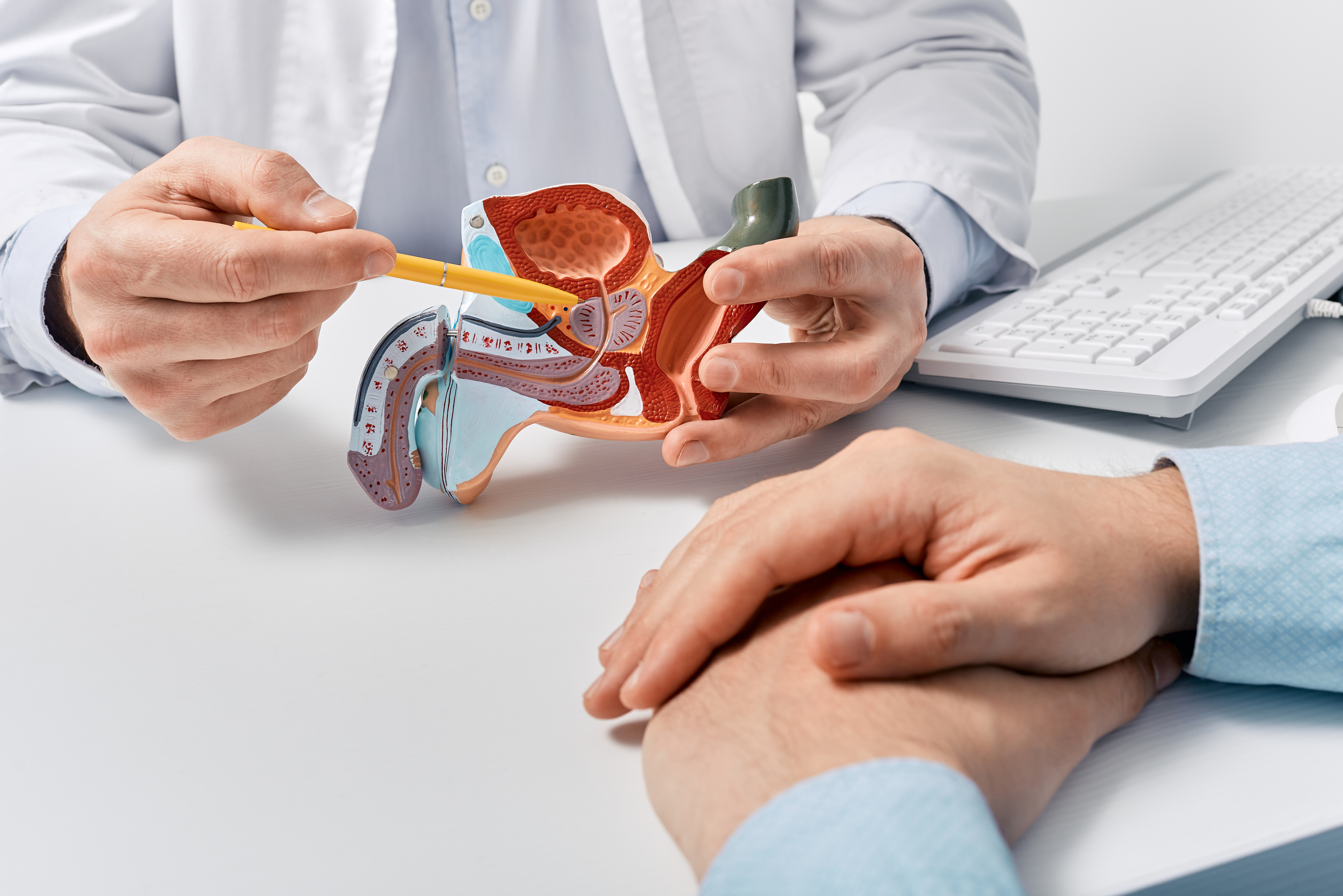 Active Surveillance for Low-Risk Prostate Cancer in India: A Valid Treatment Option?