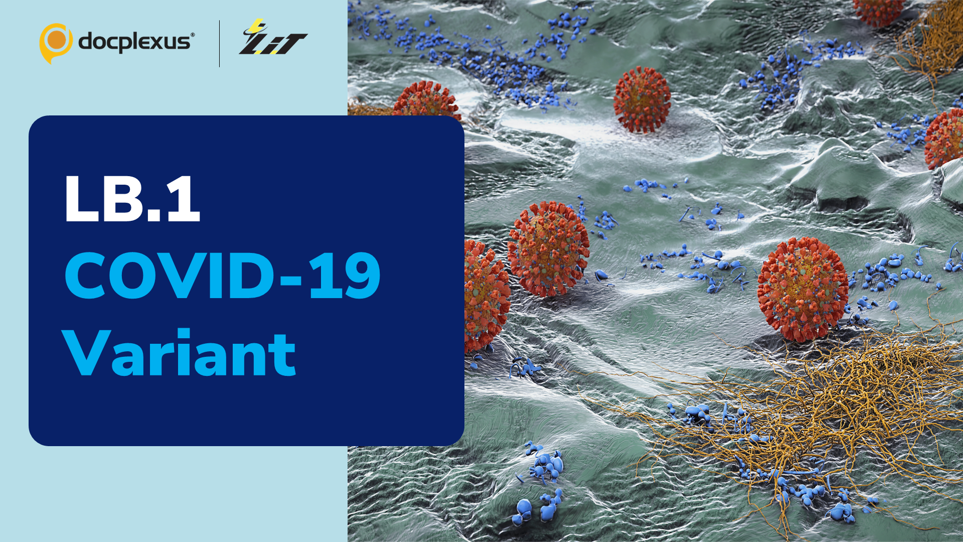 CDC Reports the Emergence of a New COVID-19 Variant