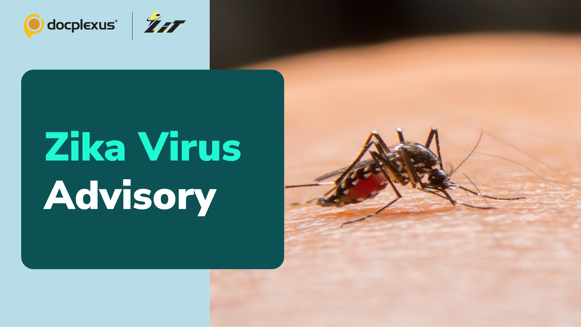 Health Ministry Issues Zika Virus Advisory to States