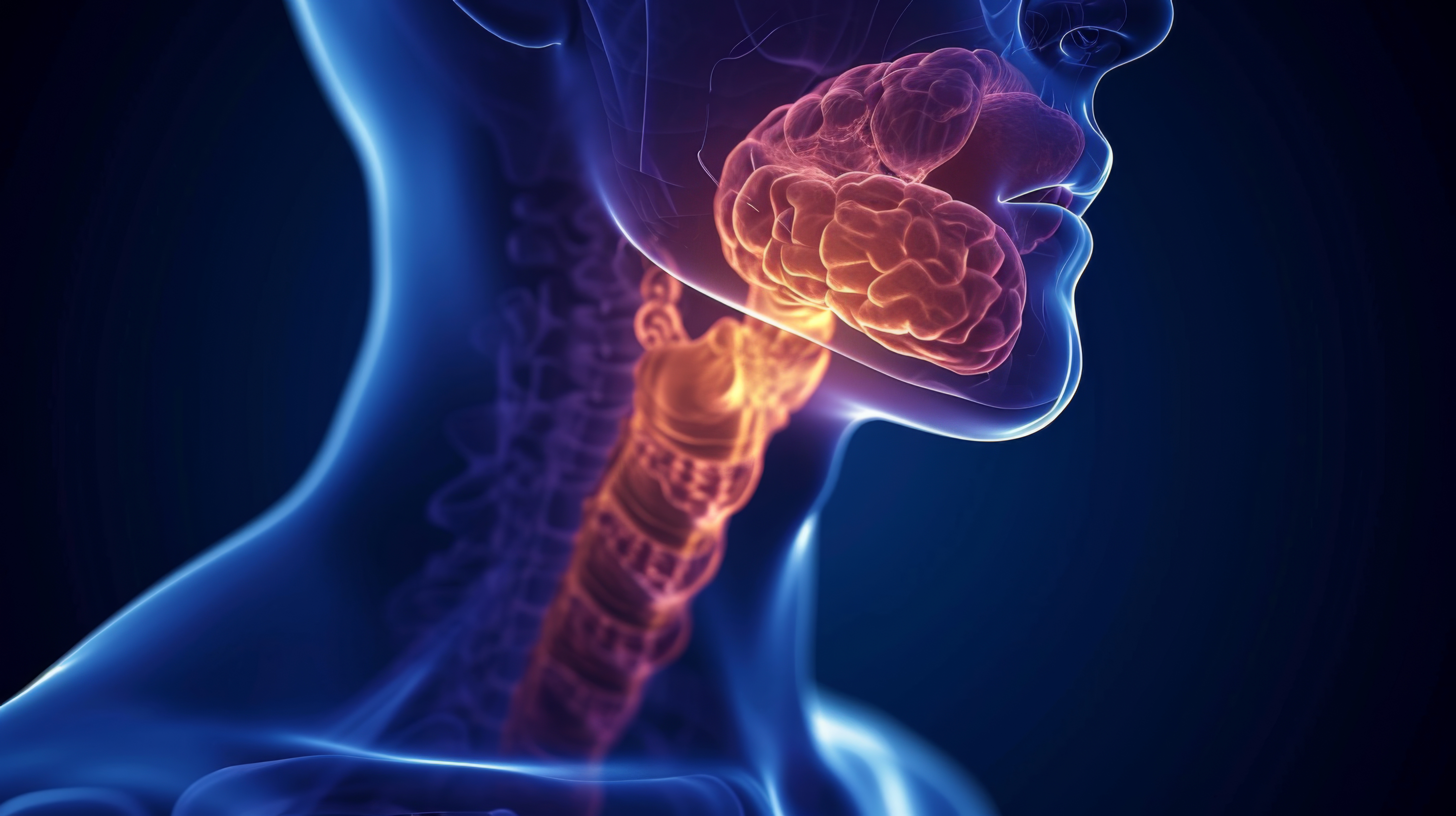 Is Adult Adenoid Hypertrophy a Persistence of Childhood Condition?