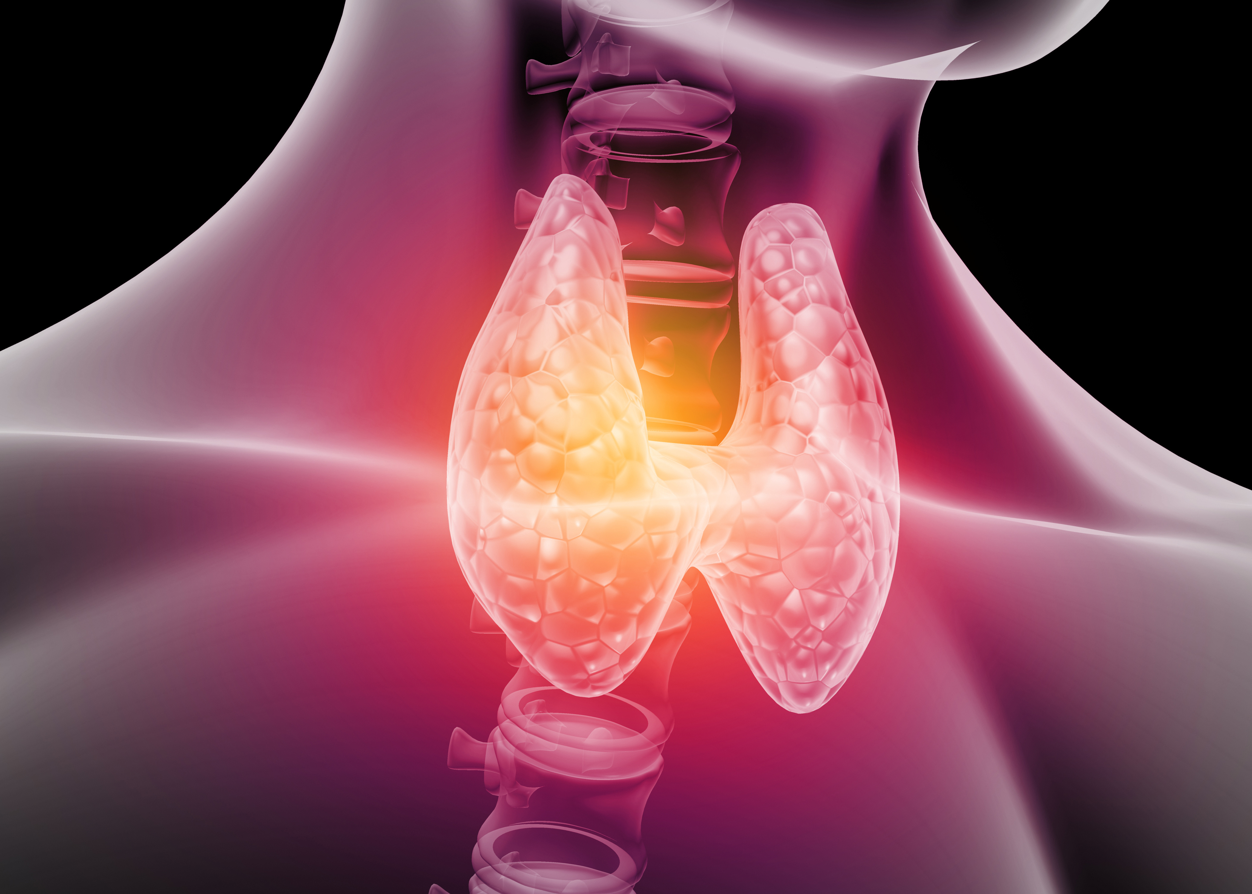 Maternal Hypothyroidism
