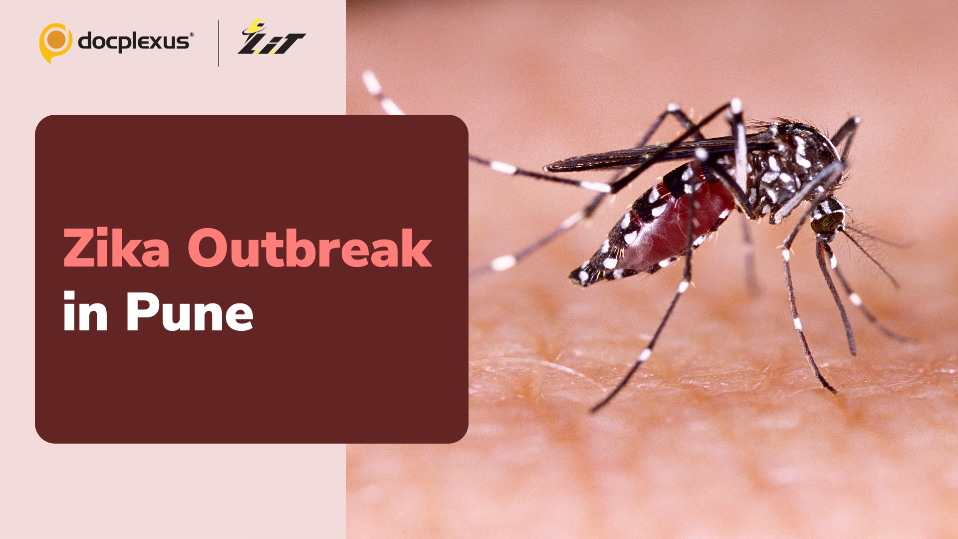 Pune’s Fifth Zika Case Sparks Community Outbreak Concerns