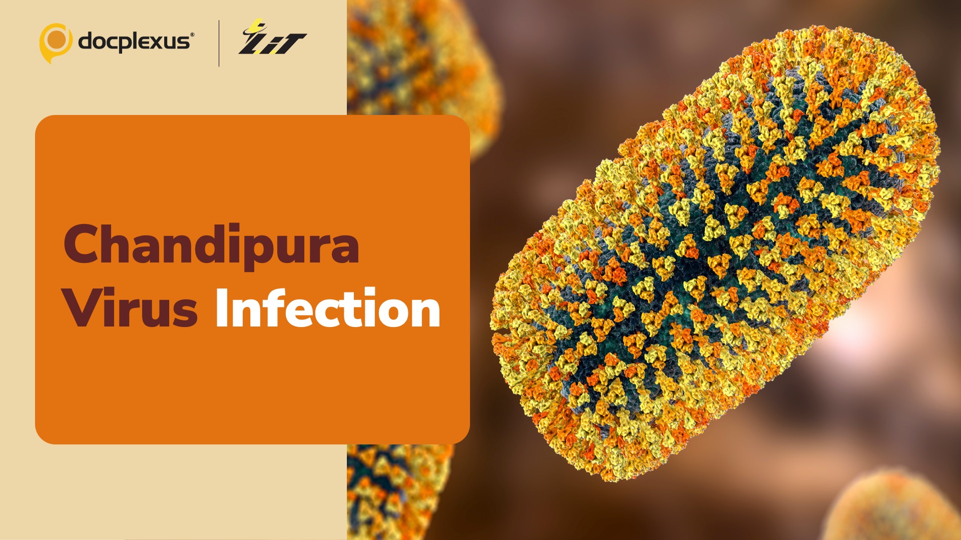 Chandipura Virus Claims 13 Children’s Lives in Gujarat